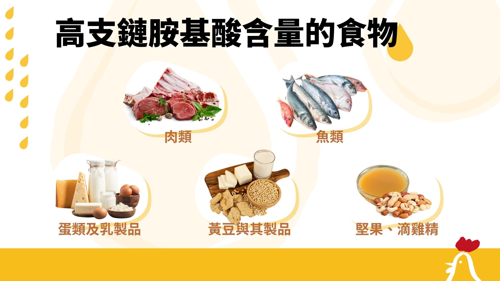 高支鏈胺基酸的食物