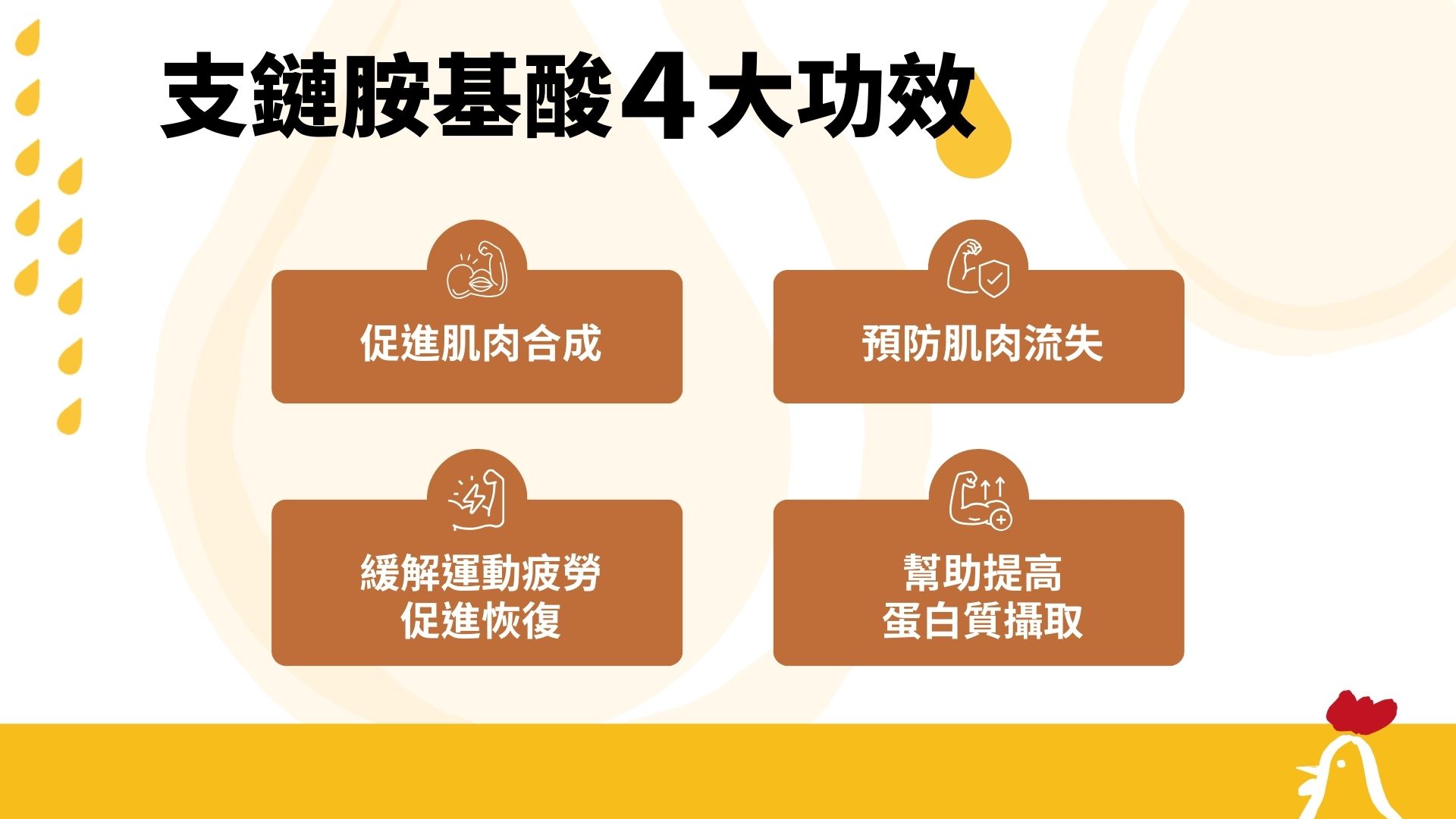 支鏈胺基酸功效